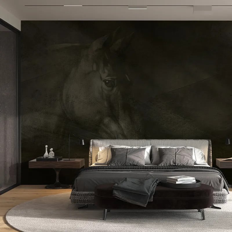 Friesian Charm, VLAdiLA 2